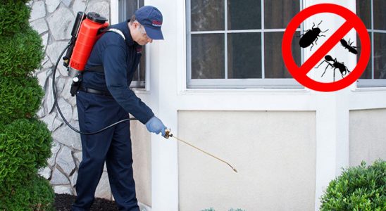Yıkıkkemer Akrep İlaçlama böcek ilaçlama ve haşere kontrolü — ilaclama-tr.com